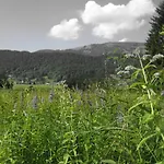 Gaestehaus Metzler *