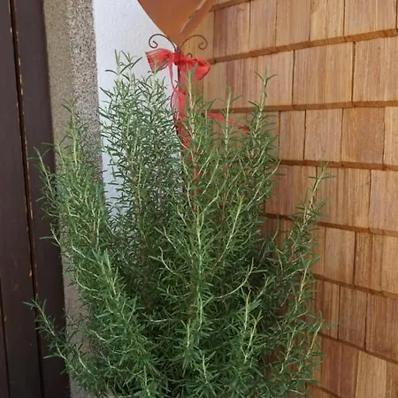 Gaestehaus Metzler *