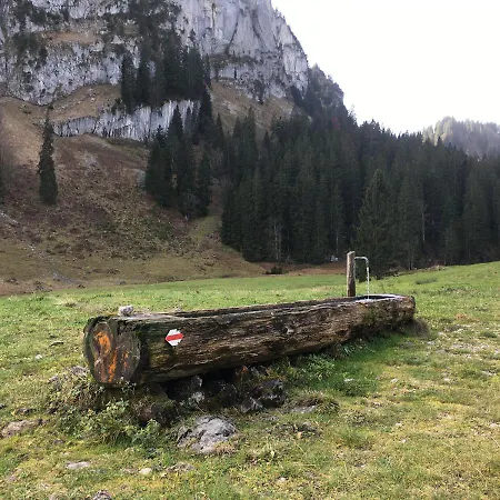 Gaestehaus Metzler Daire Bizau