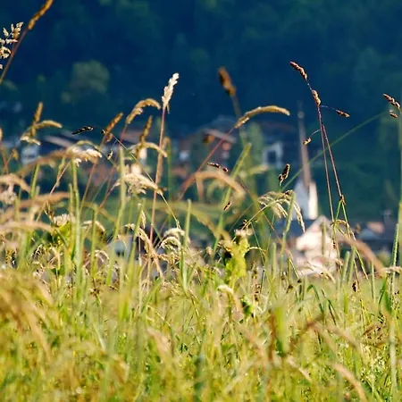 Gaestehaus Metzler Daire Bizau