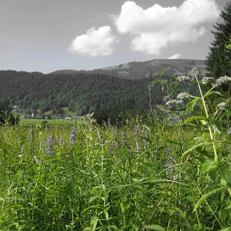 Gaestehaus Metzler *