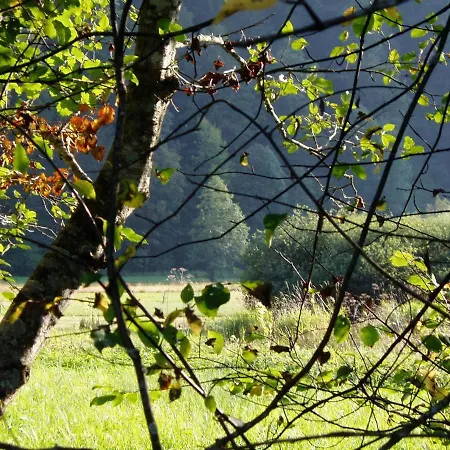 Gaestehaus Metzler * Bizau