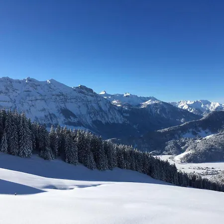 Gaestehaus Metzler Bizau