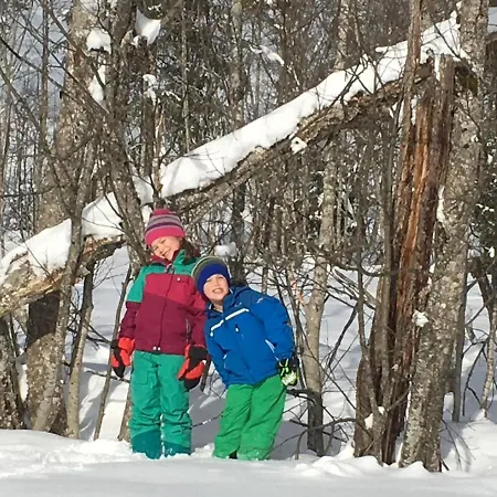 Gaestehaus Metzler Daire Bizau