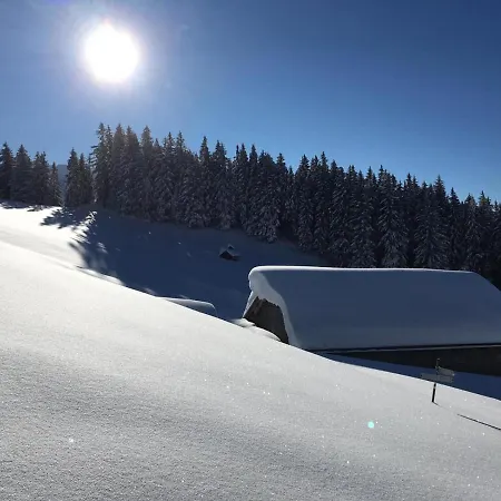 Appartamento Gaestehaus Metzler Bizau