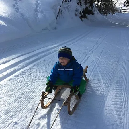 Gaestehaus Metzler Lägenhet Bizau