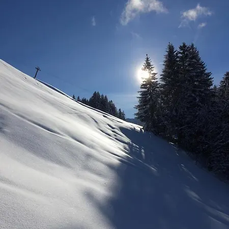 Gaestehaus Metzler Lägenhet Bizau