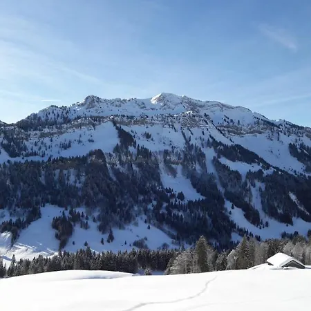 Gaestehaus Metzler Lägenhet Bizau