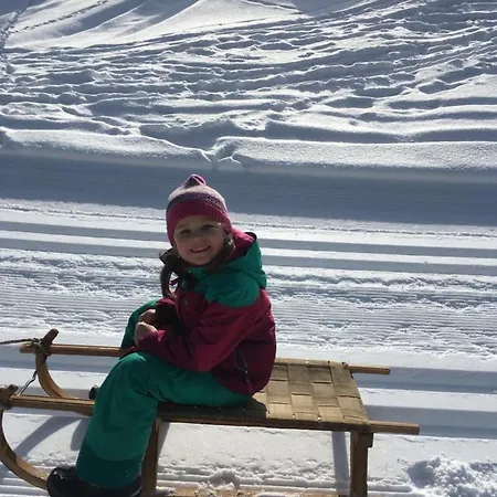 Lägenhet Gaestehaus Metzler *